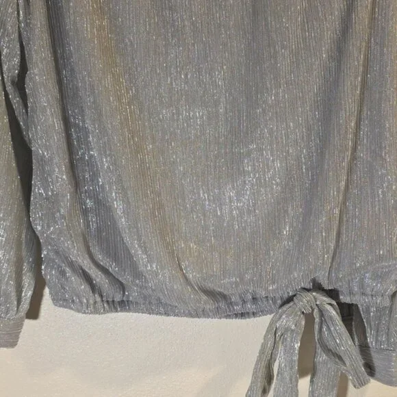 Shimmery Silver Top - Picture 3 of 6